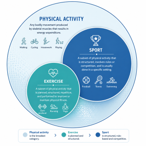 Image depicting the differences between physical activity, sport, and exercise,